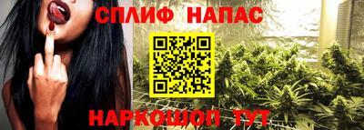 дмт Гусев