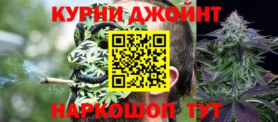 дмт Гусев