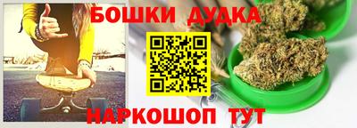 индика Гусиноозёрск